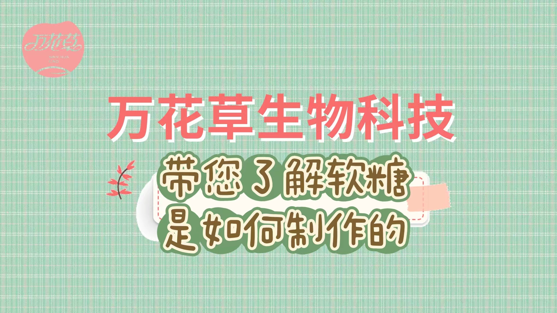 軟糖代加工生產(chǎn)工藝流程，帶您了解糖果是如何制作的