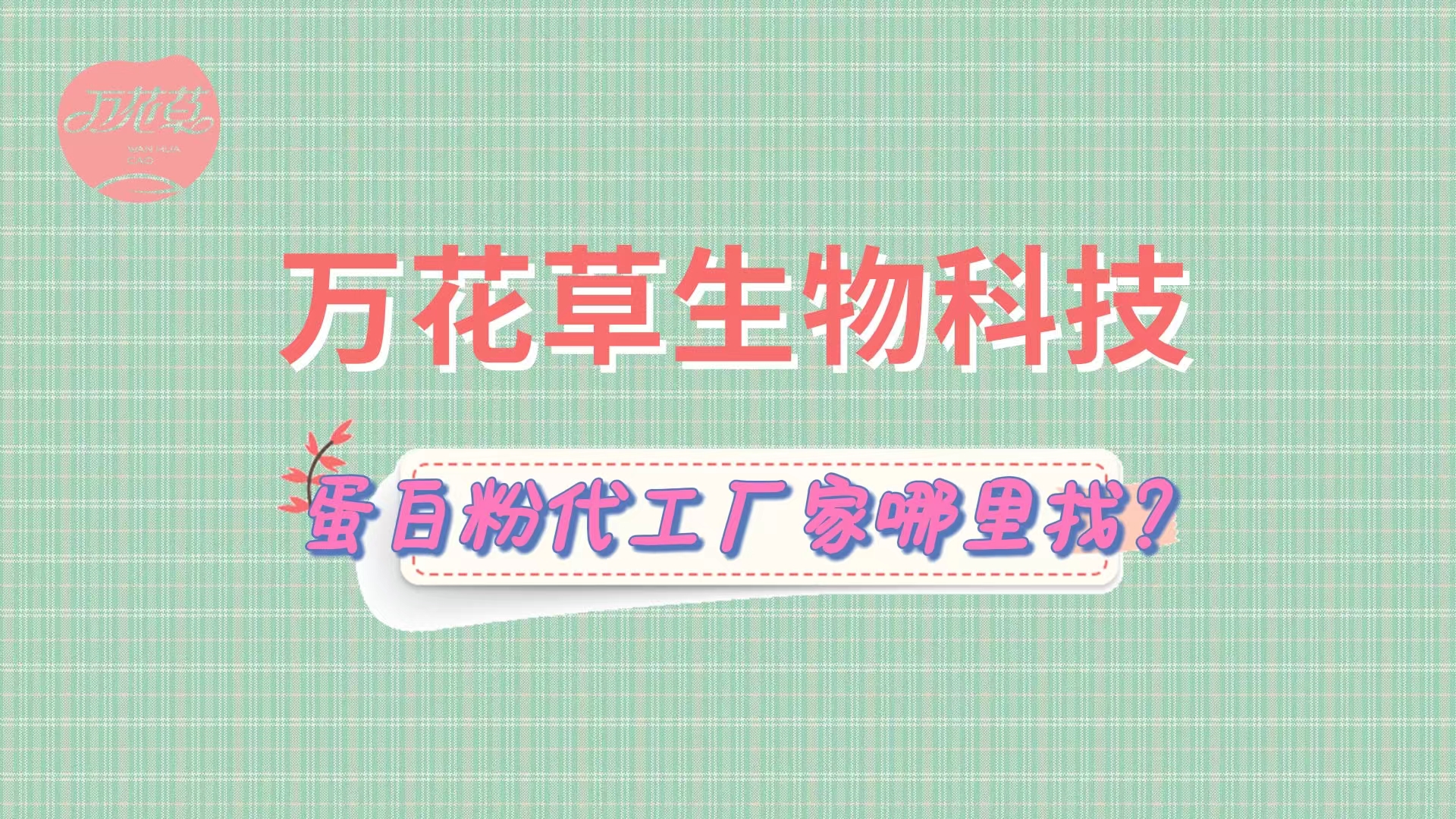 蛋白粉代加工，怎么找專業(yè)源頭廠家？