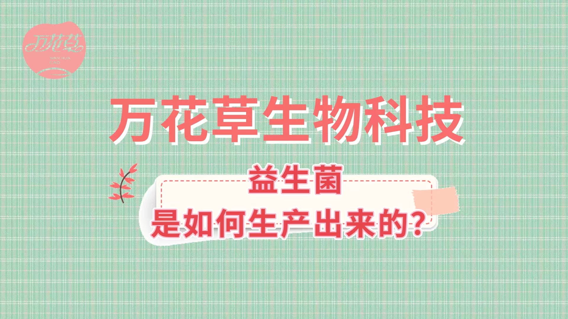 帶您了解益生菌是如何生產(chǎn)出來的,好的廠家哪里找？
