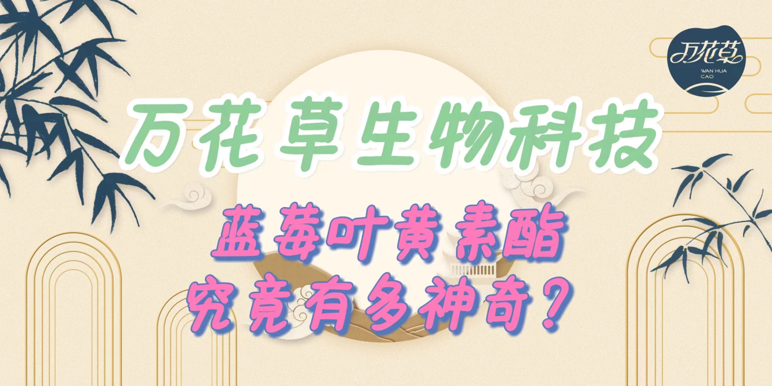 升級配方，重磅出擊，萬花草藍莓葉黃素酯究竟有多神奇？