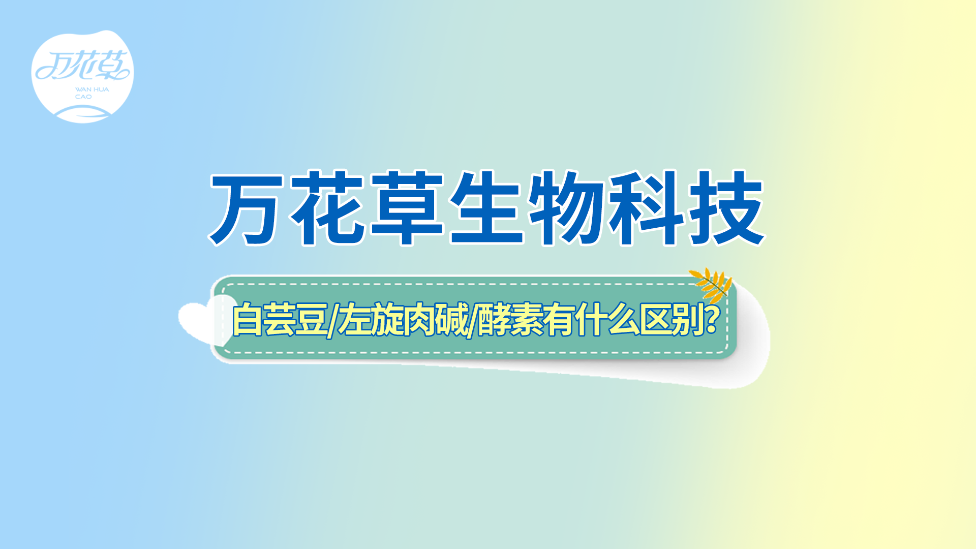 白蕓豆、左旋肉堿、嗨吃酵素有什么區(qū)別？