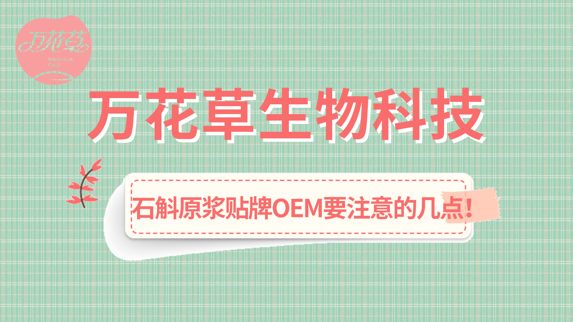 石斛原漿貼牌oem您需要注意哪幾點？