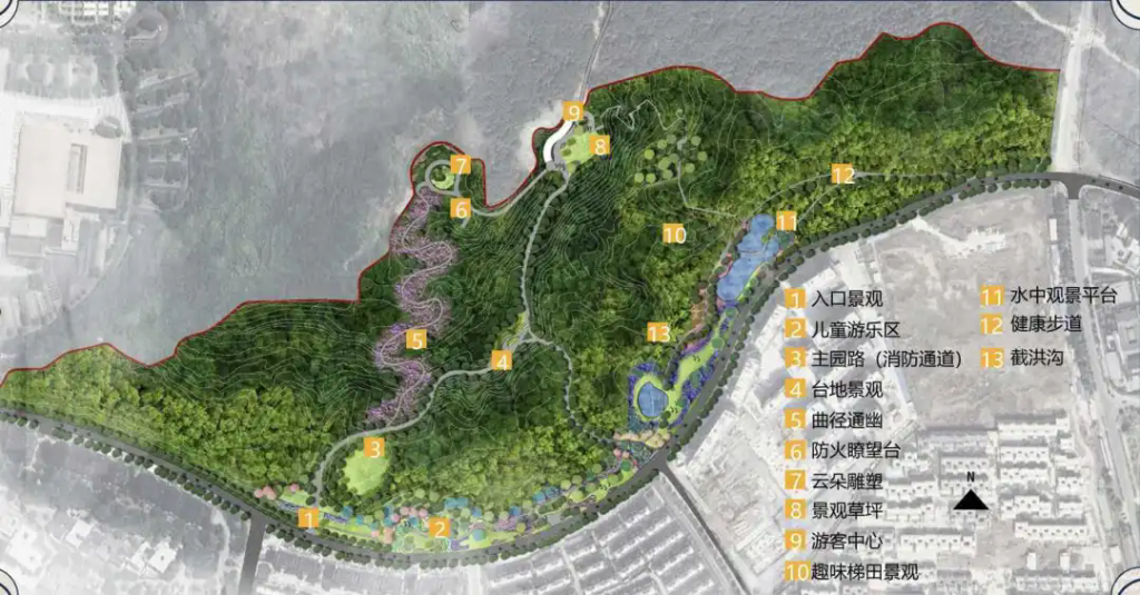 以林相改造為筆，巧繪“城市綠肺”新畫卷?